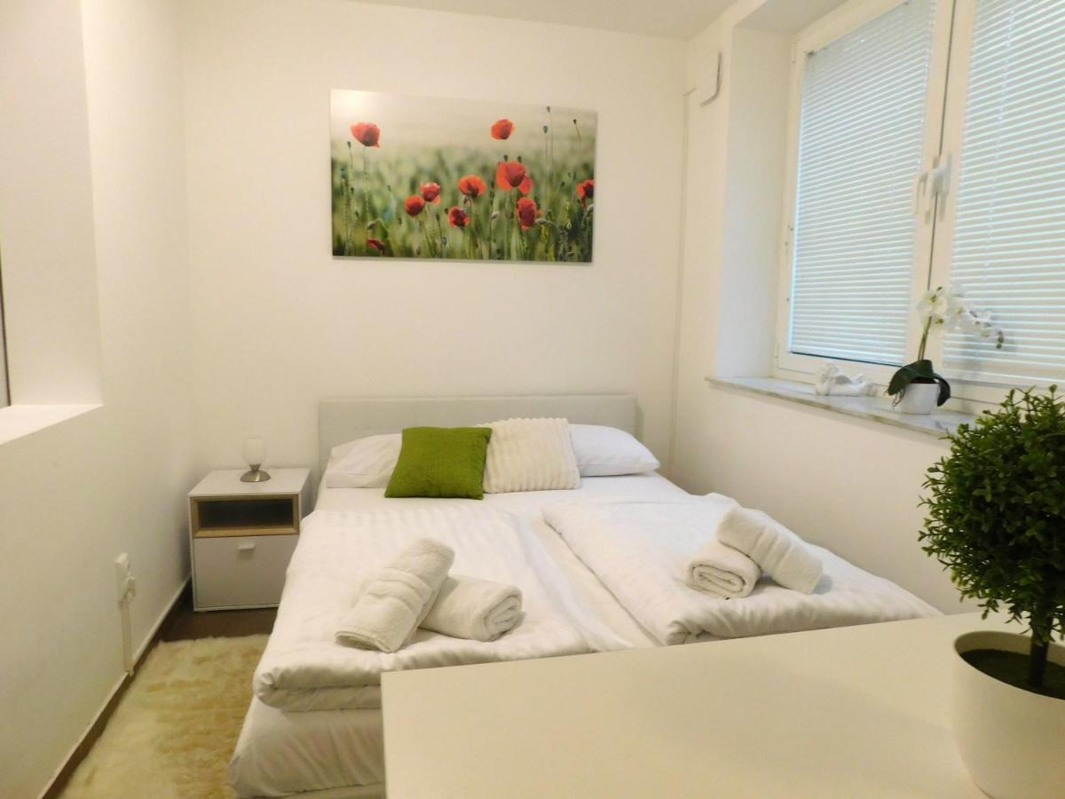 Modern Center Studio Under The Castle - Free Parking Apartment Ljubljana Luaran gambar